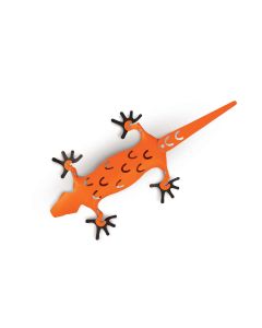 Amigos Organiser Magnetisch Hagedis