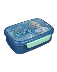 Frozen Lunchbox