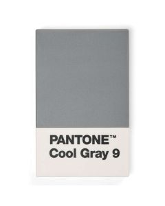 Creditkaart en Visitekaarthouder - Cool Gray 9