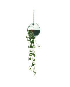 Canopy Plantenhanger ø 12 cm