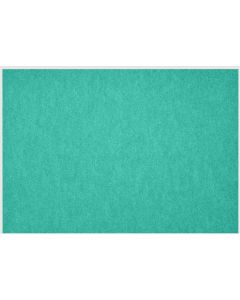 Petup Placemat Recyclebaar 31 x 42 cm