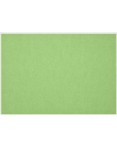 Petup Placemat Recyclebaar 31 x 42 cm