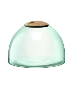 Canopy Planten Terrarium 22cm