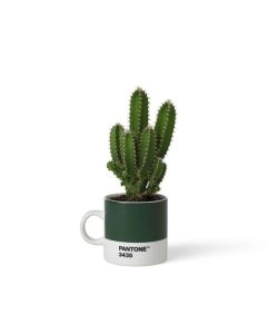 Espressobeker 120 ml - Dark Green 3435