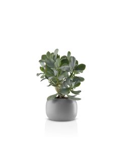 Bloempot 16 cm