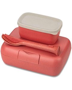 Candy Ready Lunchbox en Bestekset