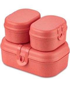 Pascal Mini Lunchbox Set van 3 Stuks