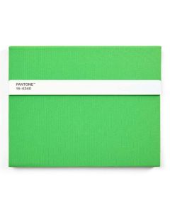 Notitieboek Gelinieerd met Potlood - Green 2422 C