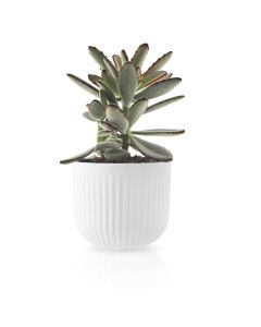 Legio Nova Bloempot Klein