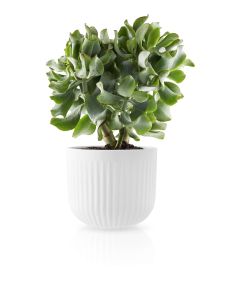Legio Nova Bloempot Groot