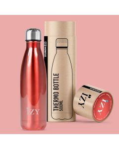 Thermosfles 500 ml Chroom