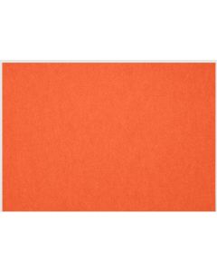 Petup Placemat Recyclebaar 31 x 42 cm
