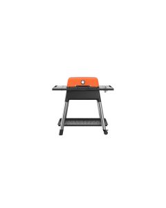 Force Gas Barbecue