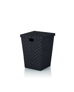 Alvaro Wasmand 52 cm