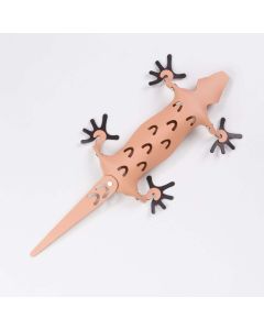 Amigos Organiser Magnetisch Hagedis