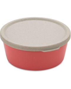 Connect Schaal met Deksel 890 ml
