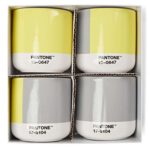 Cortado Beker Dubbelwandig 170 ml in Giftbox Set van 4 Stuks - Illuminating 13-0647 & Ultimategray 17-5104