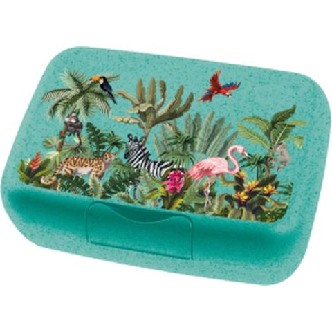 Candy L Lunchbox Jungle