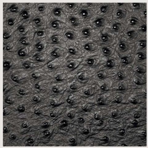 Onderzetter Leer Emu 10 x 10 cm
