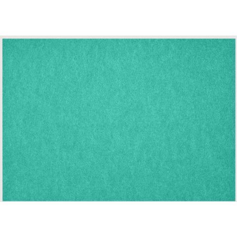 Petup Placemat Recyclebaar 31 x 42 cm