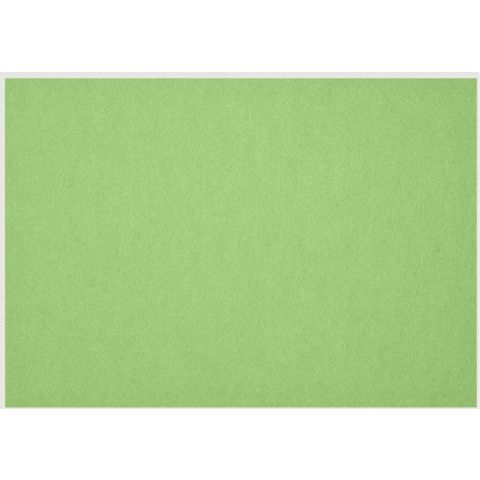 Petup Placemat Recyclebaar 31 x 42 cm