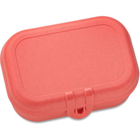 Pascal S Lunchbox