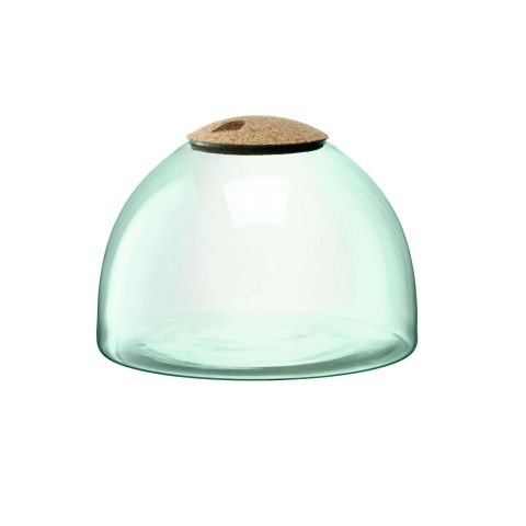 Canopy Planten Terrarium 22cm