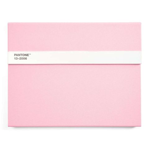 Notitieboek Gelinieerd met Potlood - Light Pink 9284 C