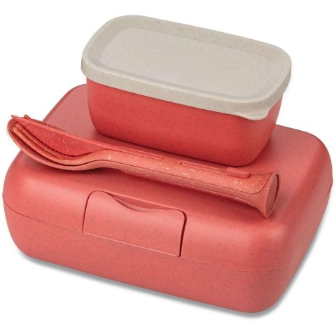 Candy Ready Lunchbox en Bestekset