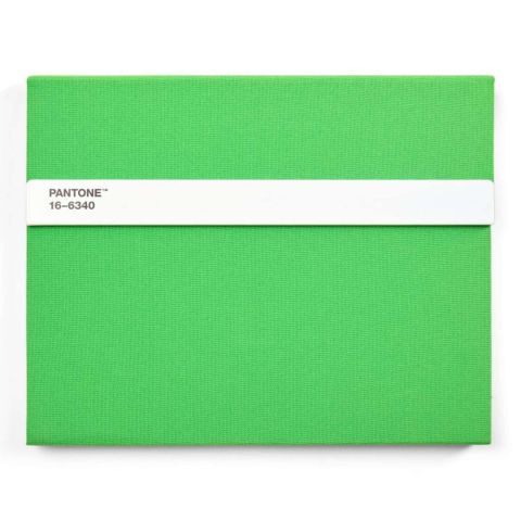 Notitieboek Gelinieerd met Potlood - Green 2422 C