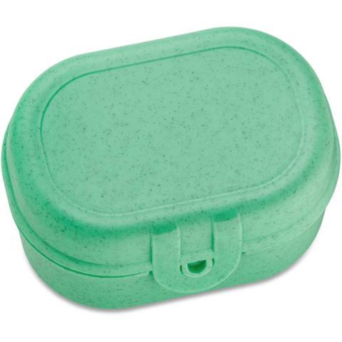 Pascal Mini Lunchbox