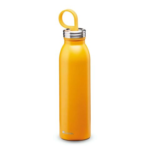 Chilled Thermavac Drinkfles 550 ml