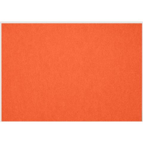Petup Placemat Recyclebaar 31 x 42 cm