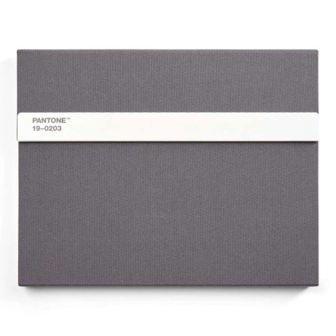 Notitieboek Gelinieerd met Potlood - Grey 7540 C