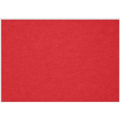 Petup Placemat Recyclebaar 31 x 42 cm