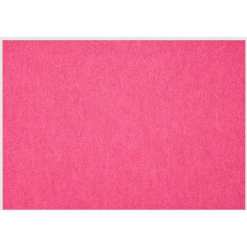 Petup Placemat Recyclebaar 31 x 42 cm