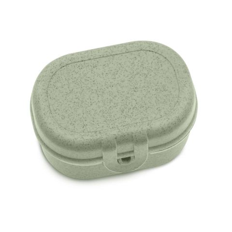 Pascal Mini Lunchbox